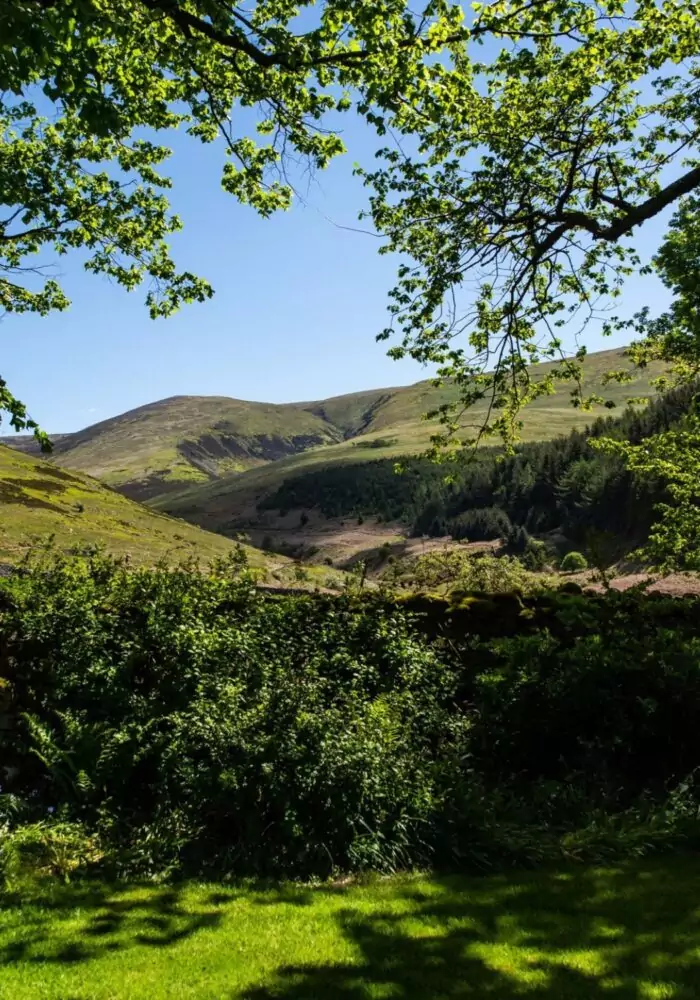 6 scenic Northumberland walks starting and ending at Ad Gefrin