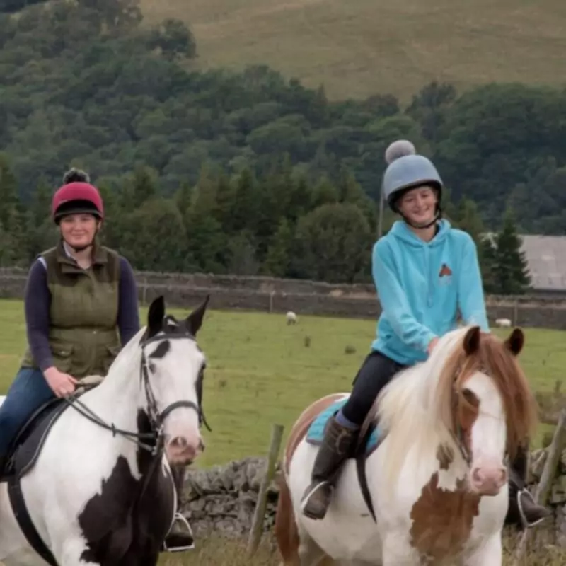 Sinderhope Pony Trekking Centre 