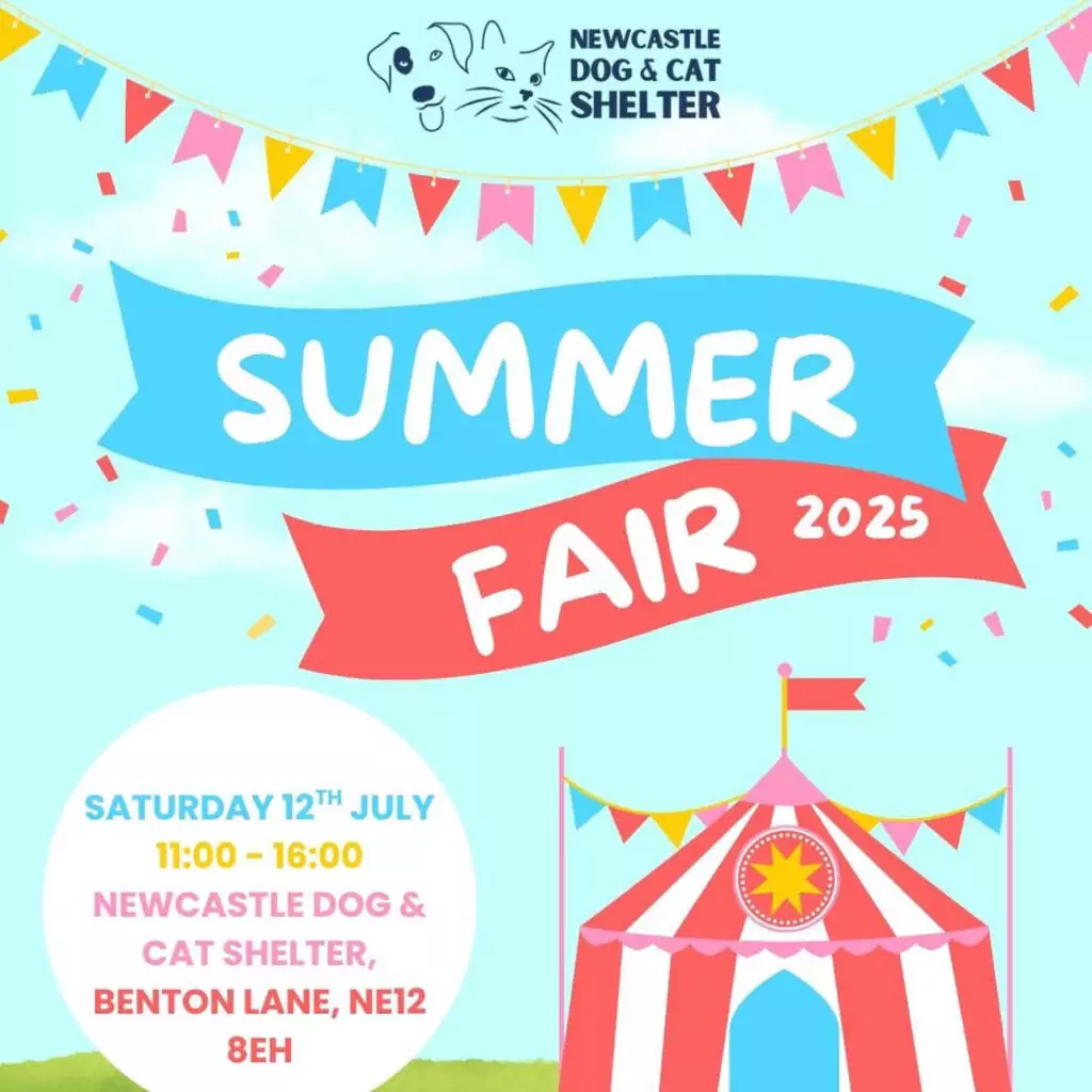 A red and white circus tent graphic against a blue sky background. Colourful bunting is stringed across the top of the poster. Below this, one blue banner and one red banner say: Summer Fair 2025. The poster gives details about the Summer Fair at Newcastle Dog and Cat shelter.