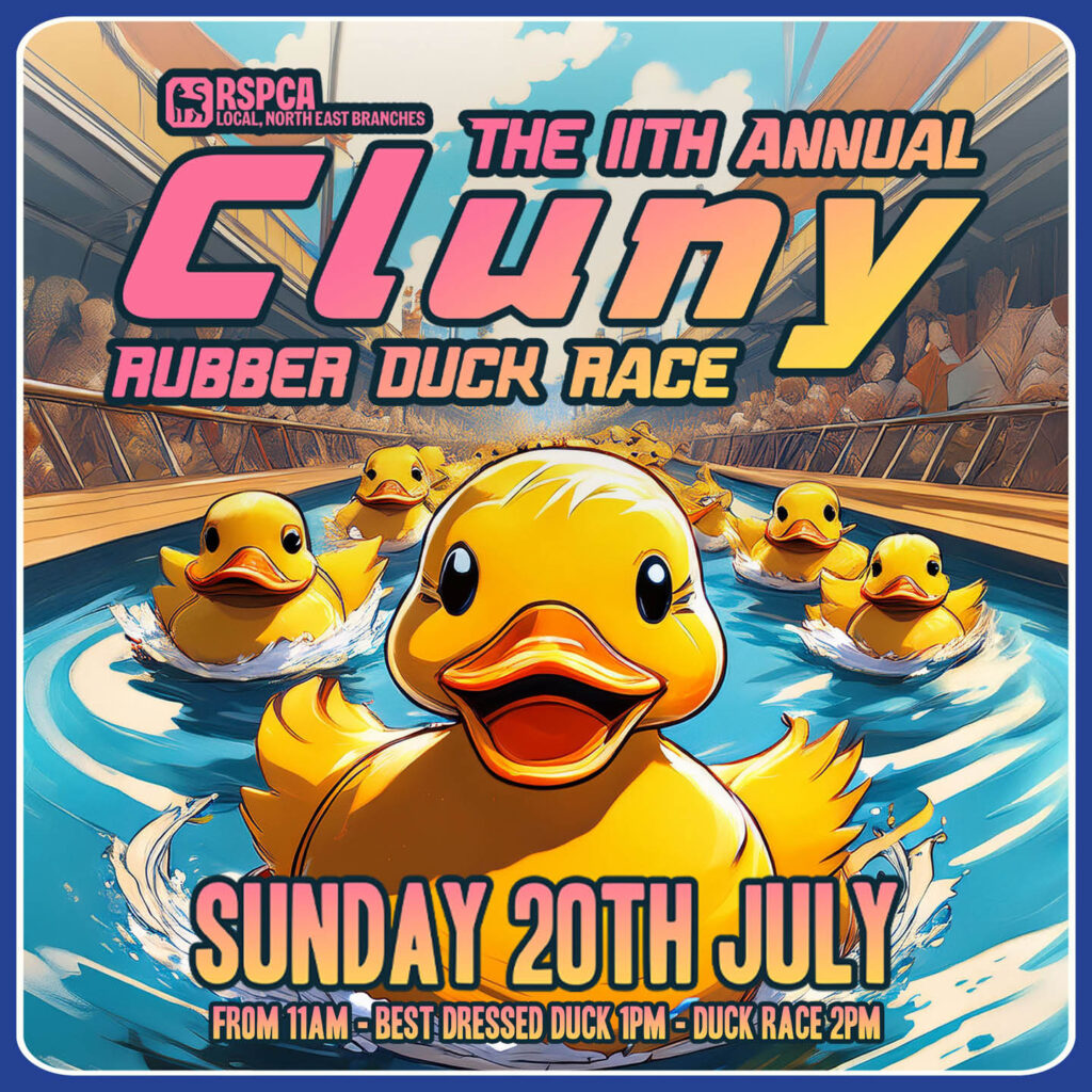 Graphical artwork showing smiling rubber ducks racing along a strip of water. Pink and yellow text above them says: The 11th Annual Cluny Rubber Duck Race. Sunday 20th July.