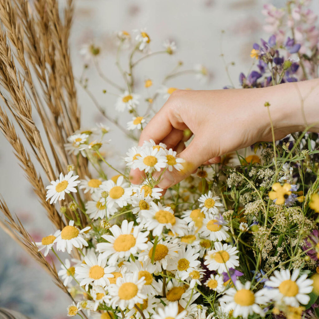 A hand arranges some delicate daisies amidst other wild flowers.