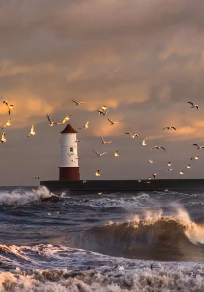 North Northumberland know-abouts: Exploring Berwick, Bamburgh, Beadnell and beyond.