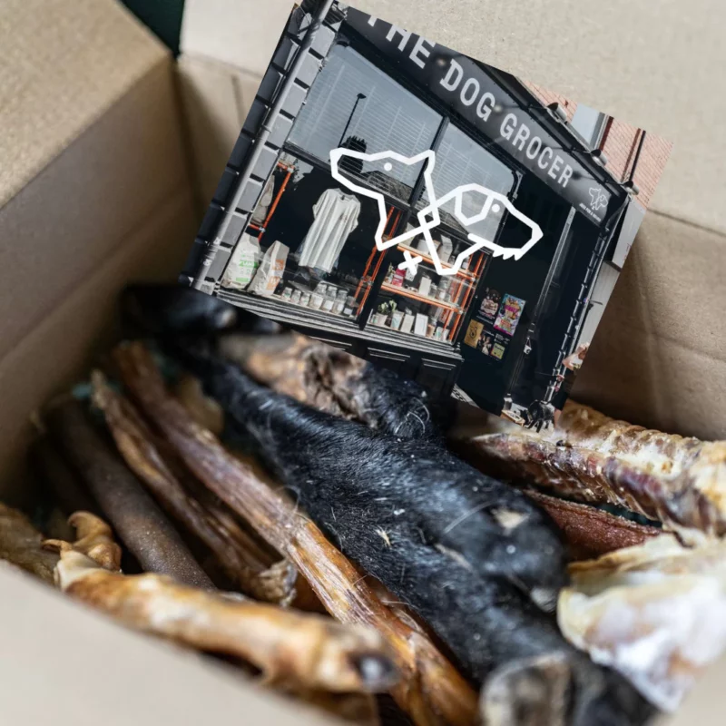 The Chewer Box - £18.00
