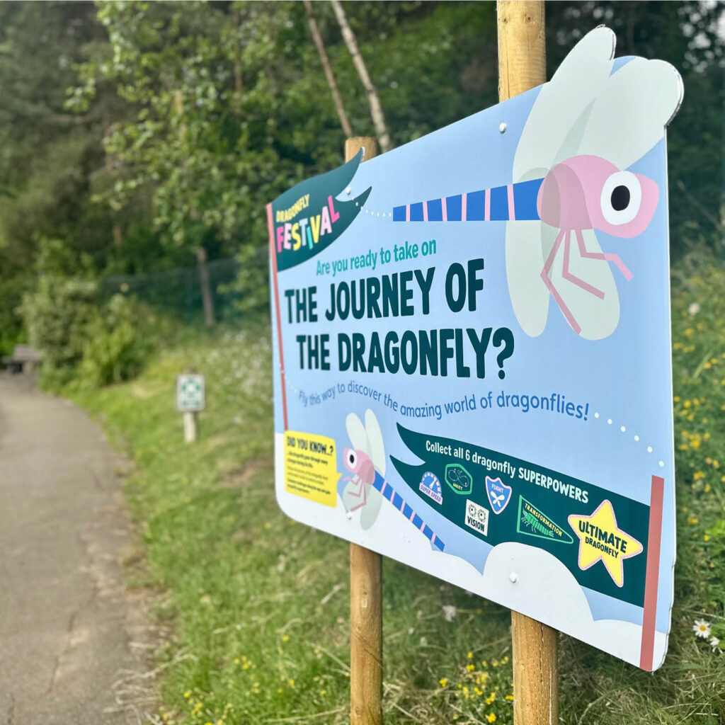 A path edged by trees and a blue wooden sign. It displays a drawing of a dragonfly and the words: The Journey of the Dragonfly? This is part of the dragonfly trail at Washington Wetland Centre.