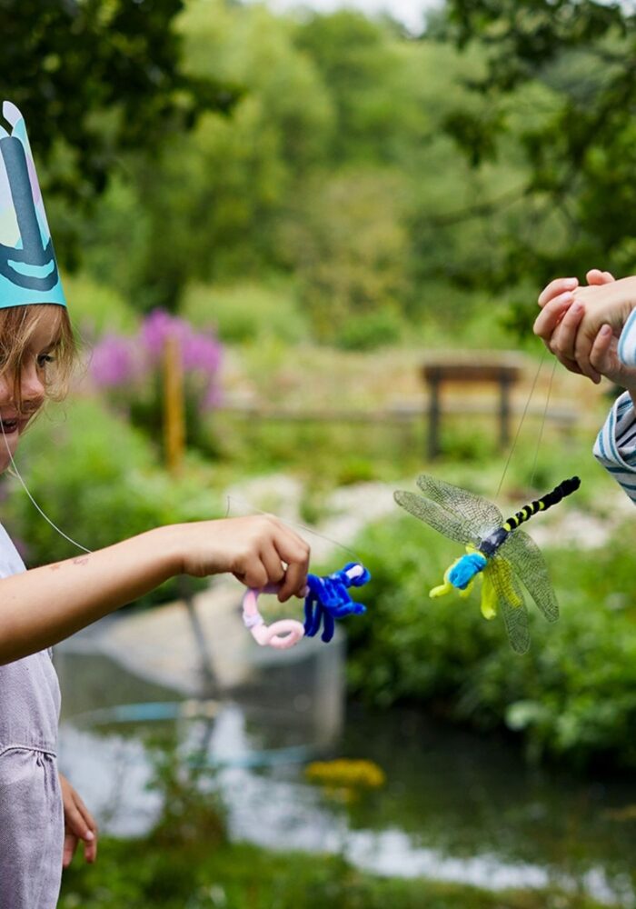 WWT Washington Wetland is hosting the Dragonfly Festival this summer – and you don’t want to miss it