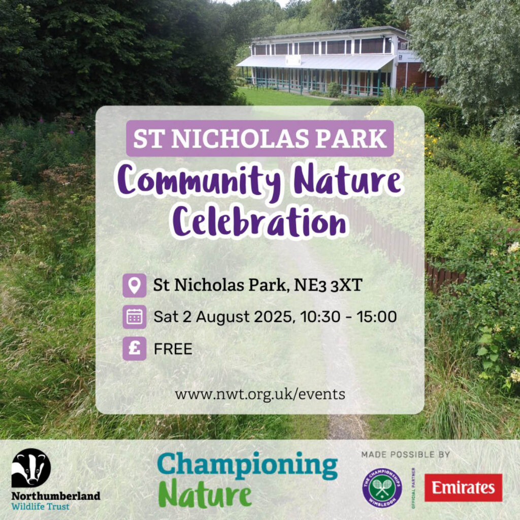 A lush park is overlaid with purple text that says: St Nicholas Park - Community Nature Celebration.