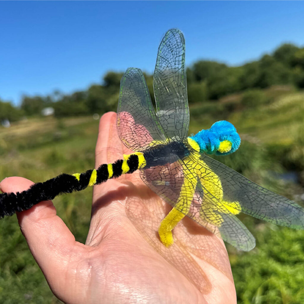 A hand holds a dragonfly made from pipe cleaners. It has a yellow and black striped body and a blue head.