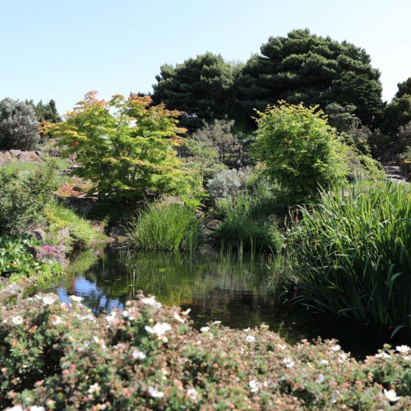 The Royal Botanic Garden