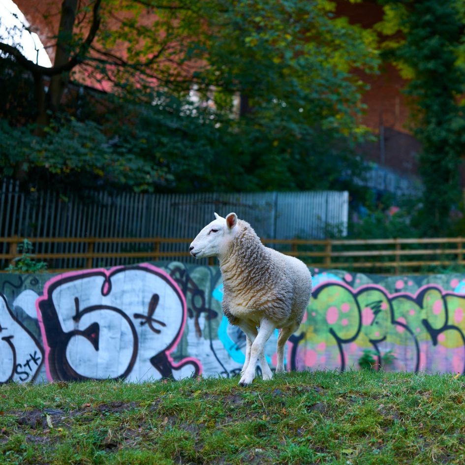 Newcastle is becoming one of the coolest destinations for a UK city break