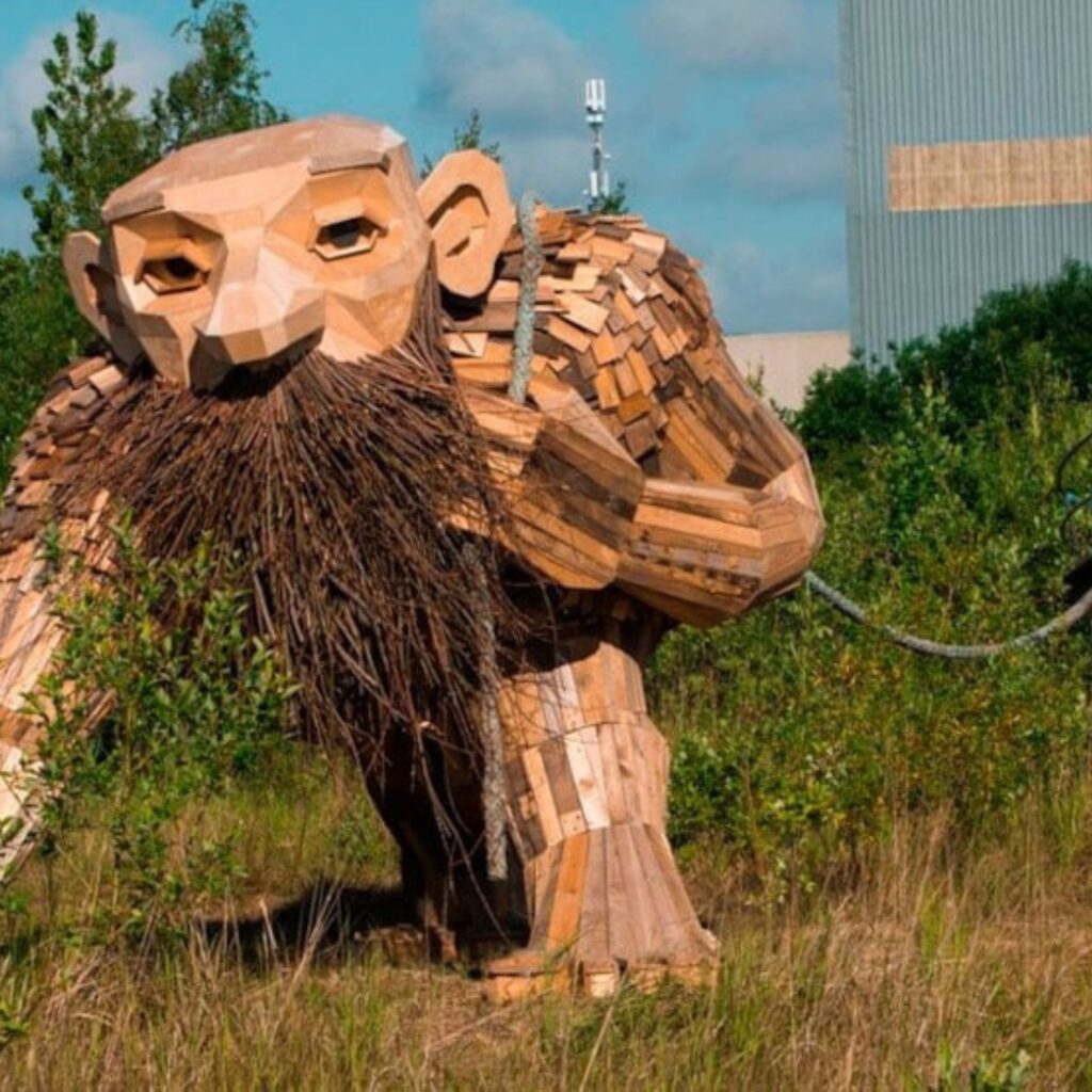 Experience Copenhagen like a local: hidden gems beyond the tourist trail