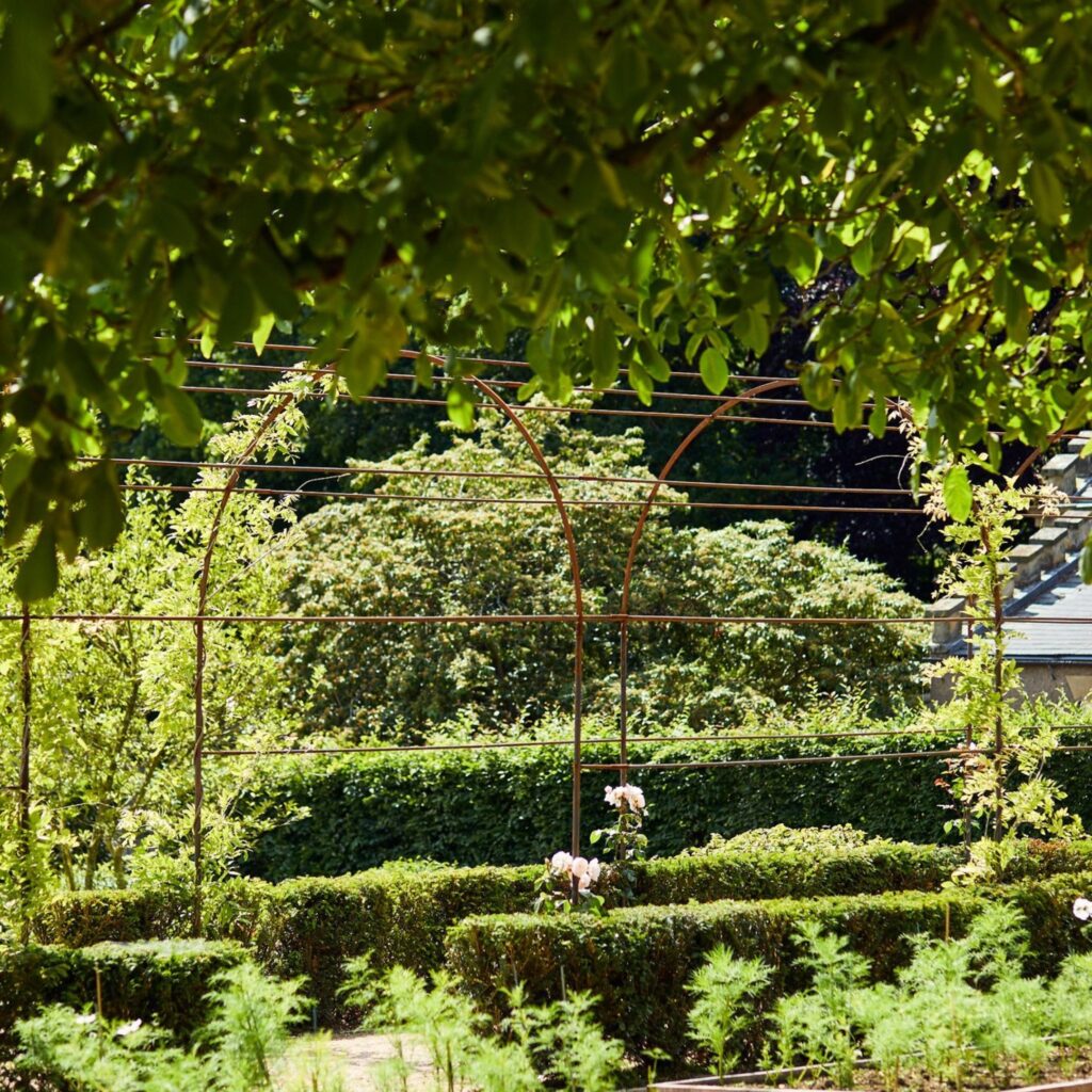 Behind the blooms of the North East’s most talked-about garden projects at Raby Castle