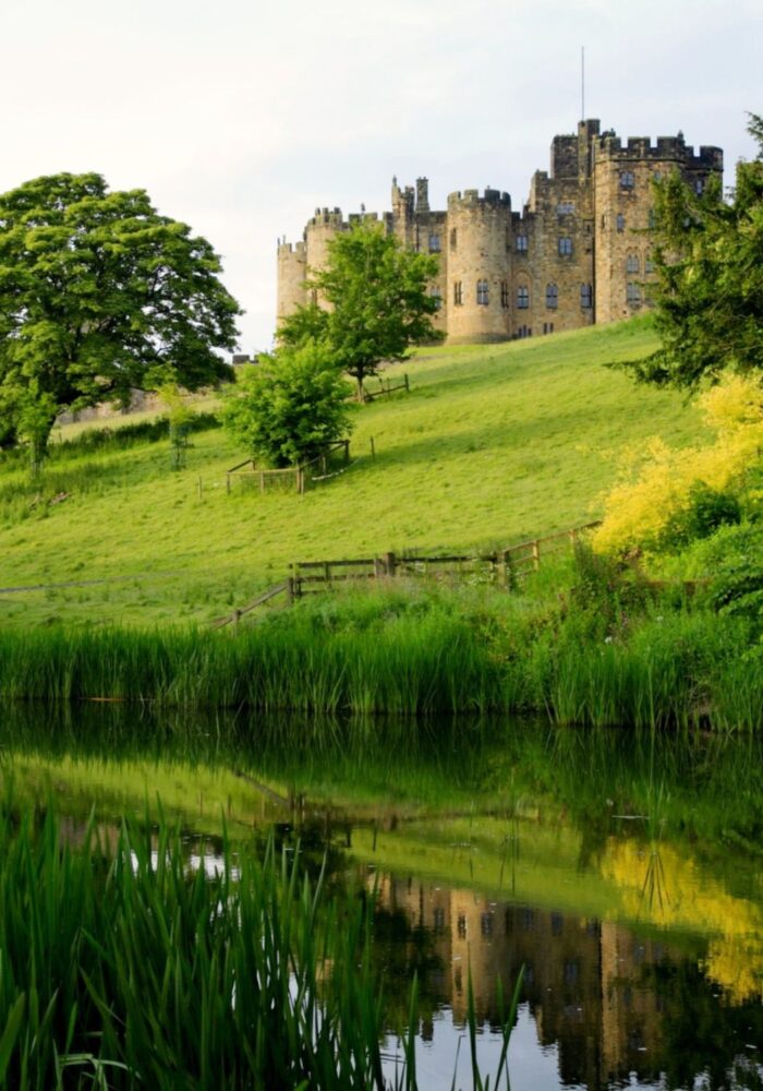 Don’t miss this: Alnwick Castle visit with Bailiffgate Hotel afternoon tea special offer.