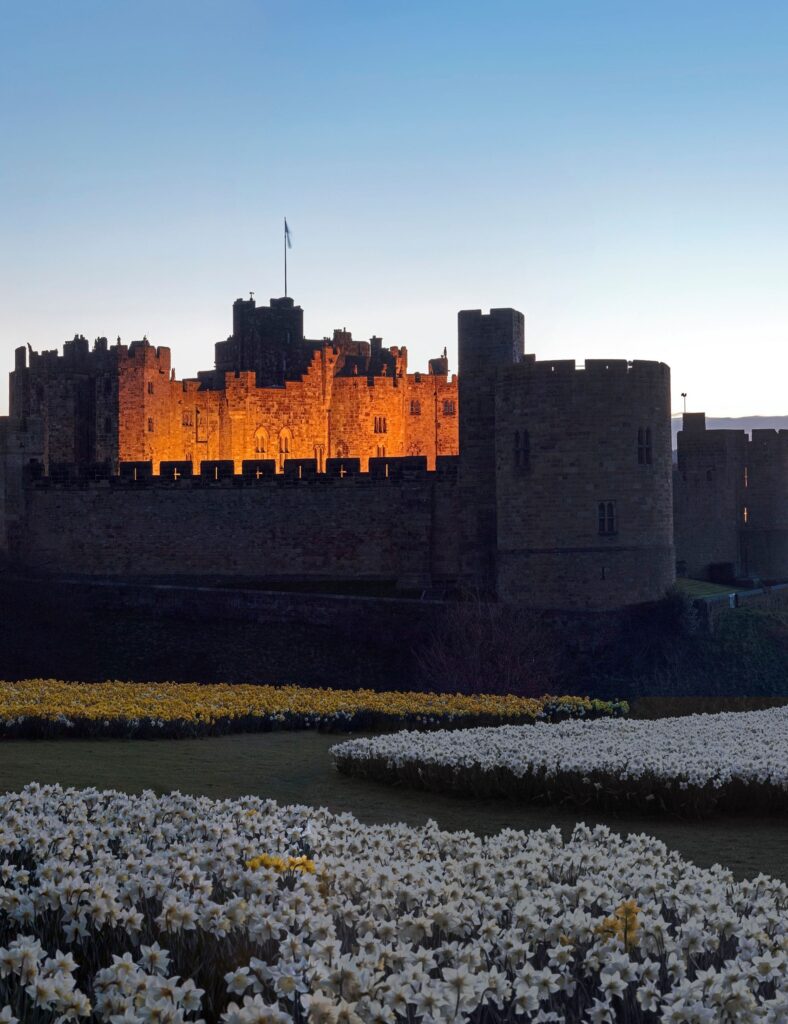 Don’t miss this: Alnwick Castle visit with Bailiffgate Hotel afternoon tea special offer.