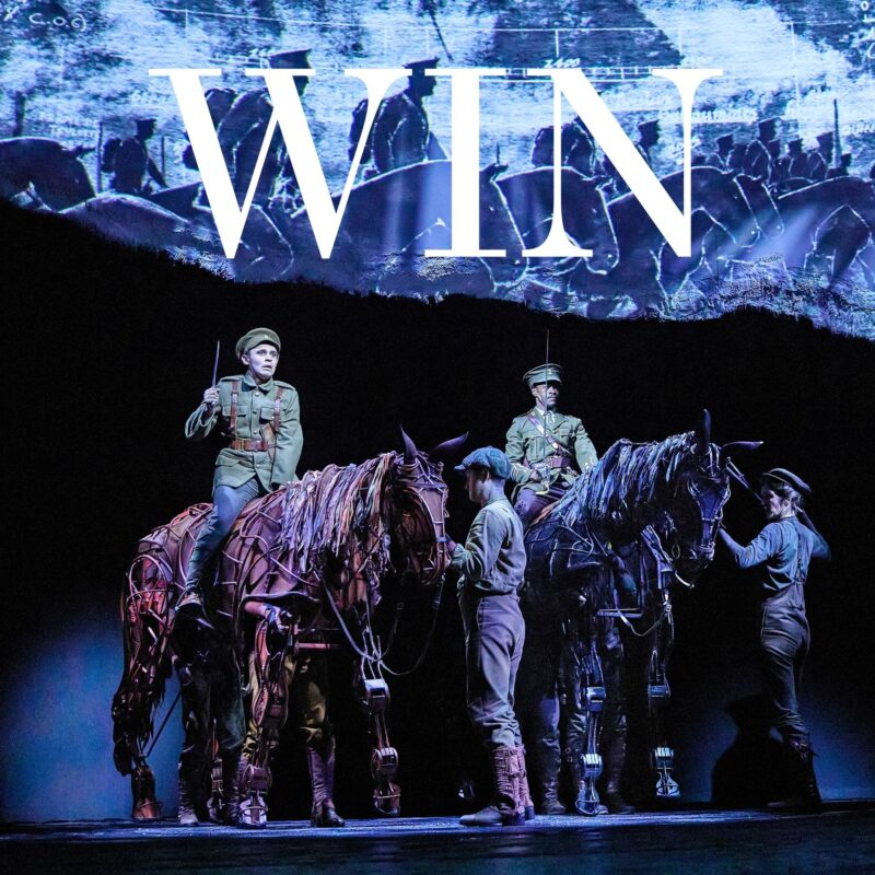 WIN 2 tickets to War Horse at Newcastle Theatre Royal – plus afternoon tea at Côte
