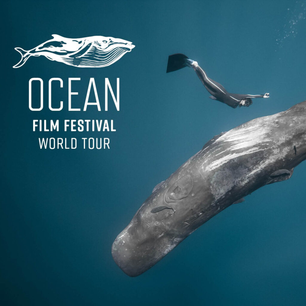 A diver swims above a huge whale in the deep blue ocean. White text in the top left corner reads: Ocean Film Festival World Tour.