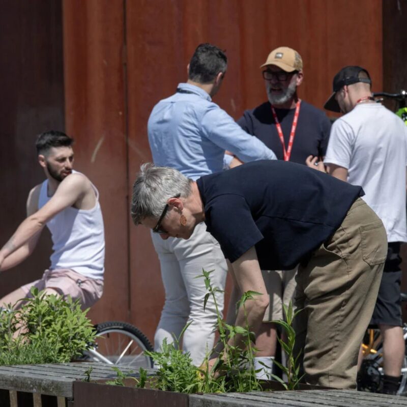 Join the Gardening Club at the Baltic