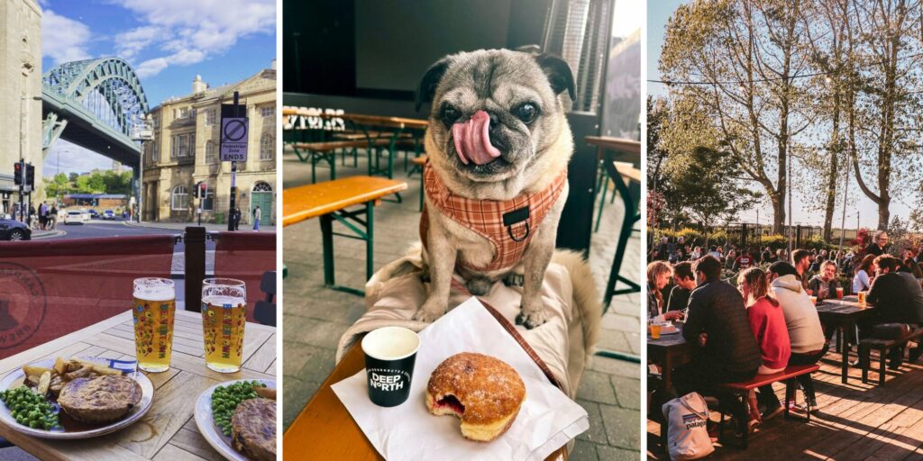 28 of the best dog-friendly pubs, cafés and restaurants in the North East
