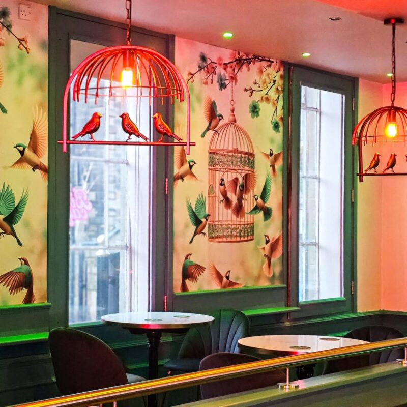10 very cool new openings in the North East to check out