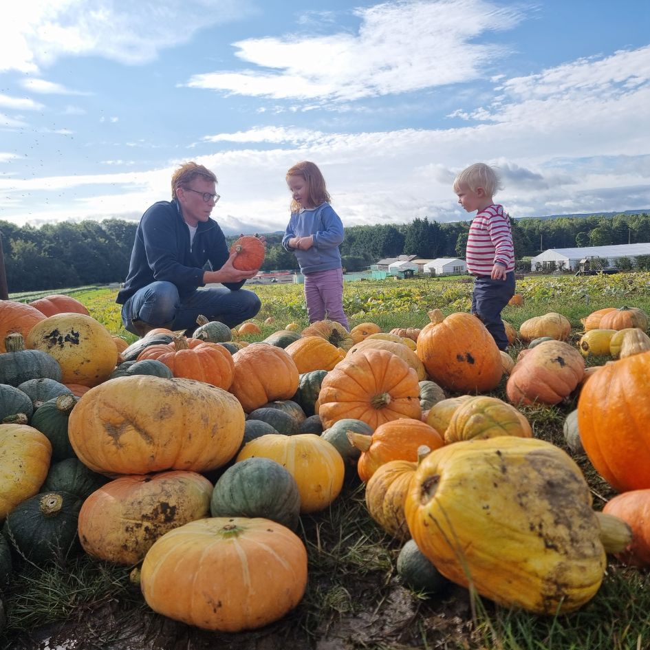 Brocksbushes Pumpkin Experience returns – grab your tickets before they’re gone