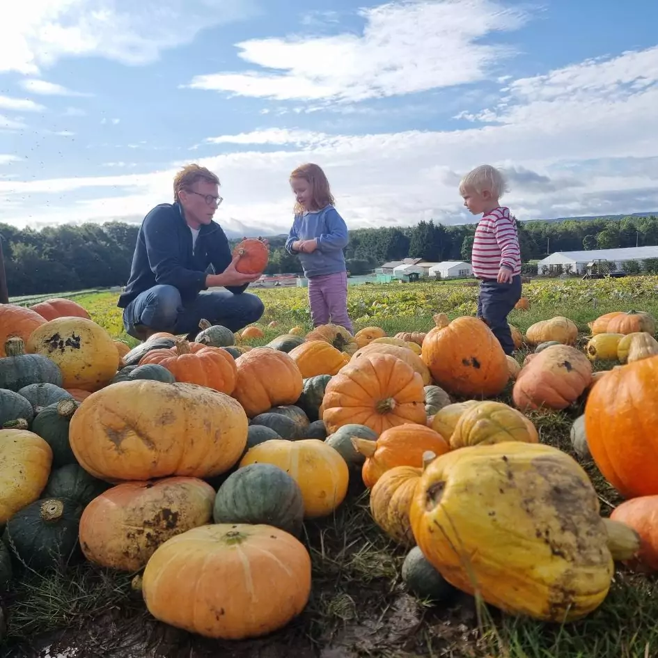 Brocksbushes Pumpkin Experience returns – grab your tickets before they’re gone