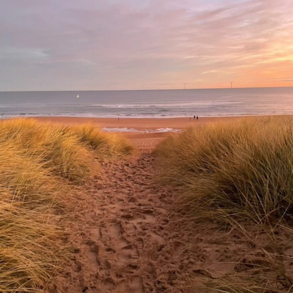 Snug Sauna: Recharge with a wild wellness experience in Seaton Sluice
