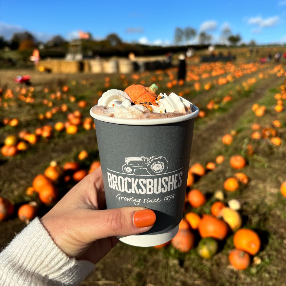 Brocksbushes Pumpkin Experience returns – grab your tickets before they’re gone
