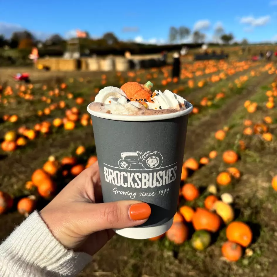 Brocksbushes Pumpkin Experience returns – grab your tickets before they’re gone