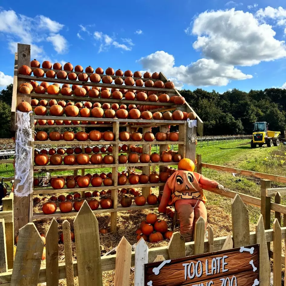 Brocksbushes Pumpkin Experience returns – grab your tickets before they’re gone