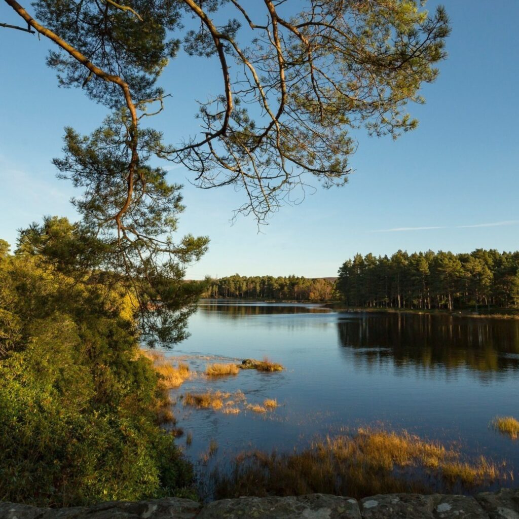 Autumn at Cragside: Golden leaves, woodland walks and a house of wonders