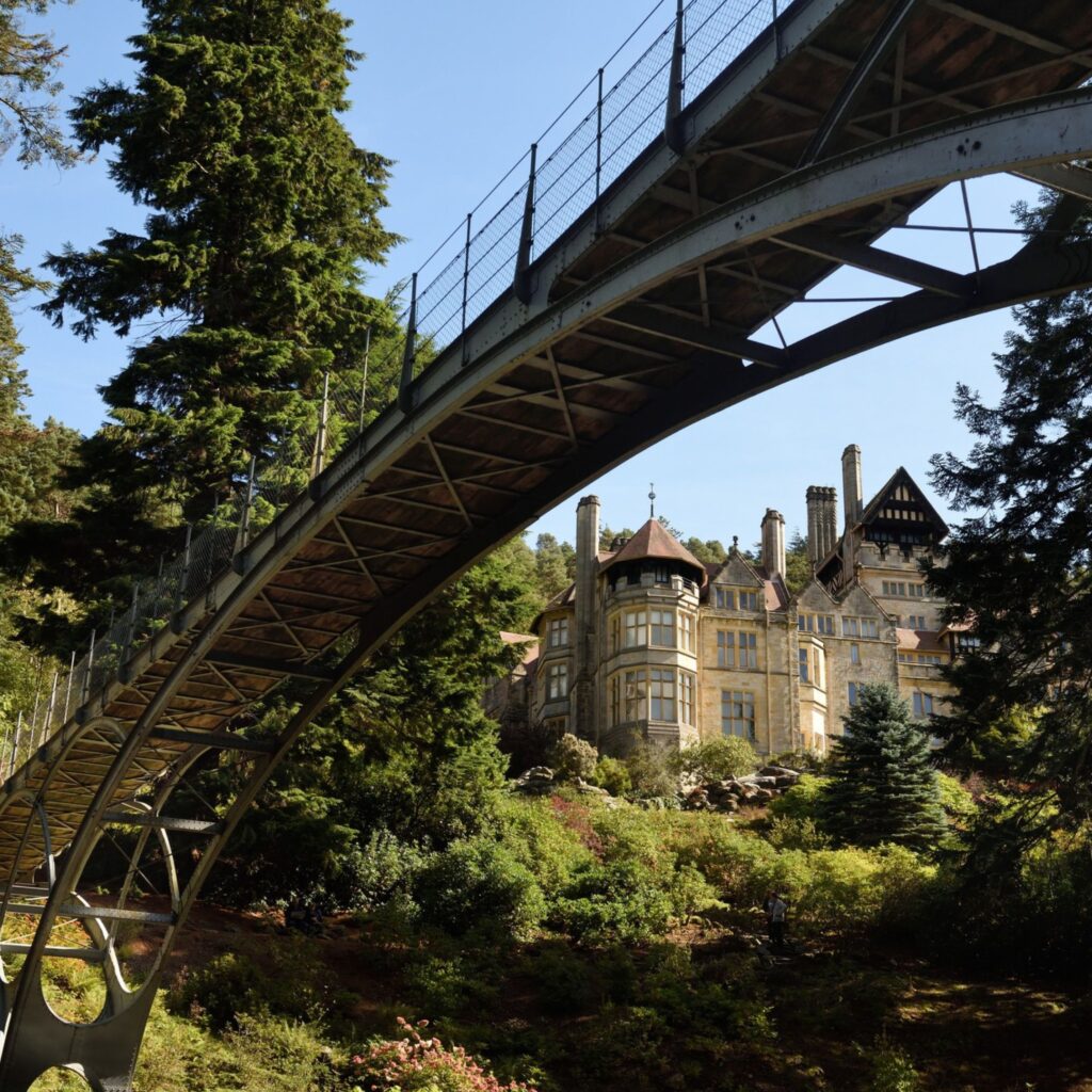 Autumn at Cragside: Golden leaves, woodland walks and a house of wonders