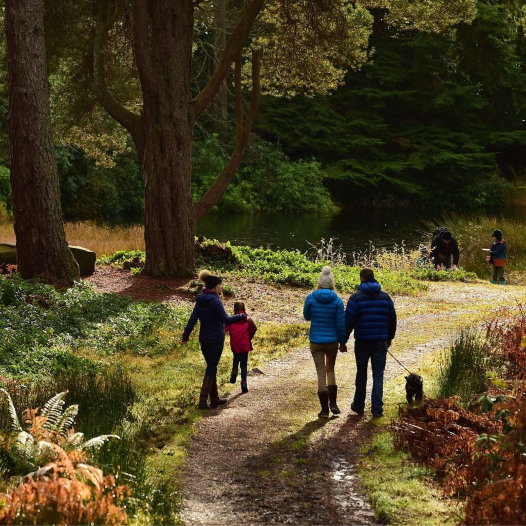 Autumn at Cragside: Golden leaves, woodland walks and a house of wonders