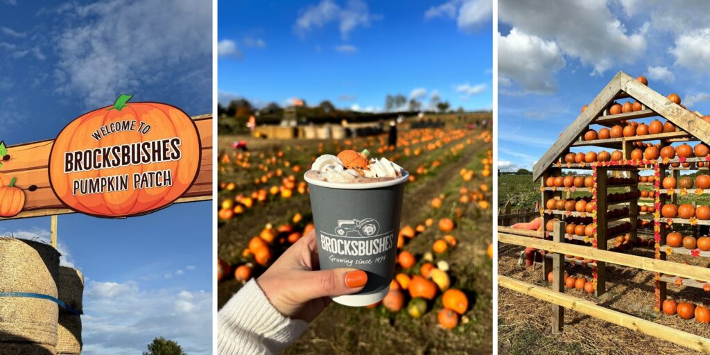 Brocksbushes Pumpkin Experience returns – grab your tickets before they’re gone