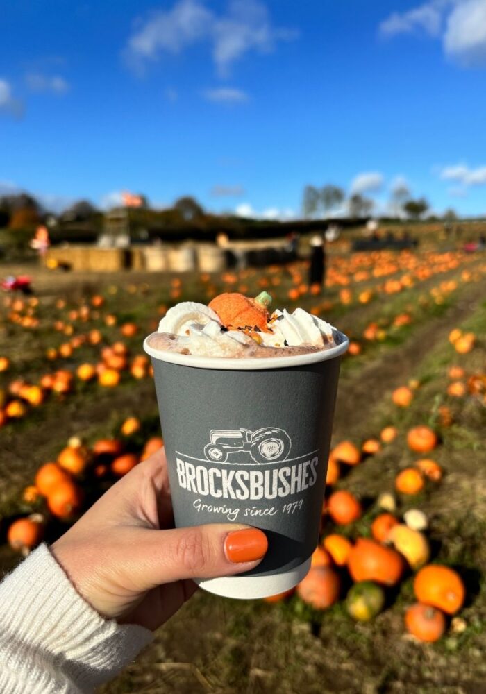 Brocksbushes Pumpkin Experience returns – grab your tickets before they’re gone