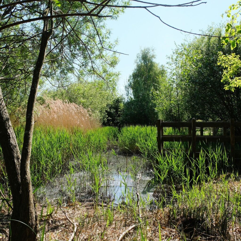 Jarrow Hall Anglo-Saxon Farm, Village and Bede Museum, Jarrow