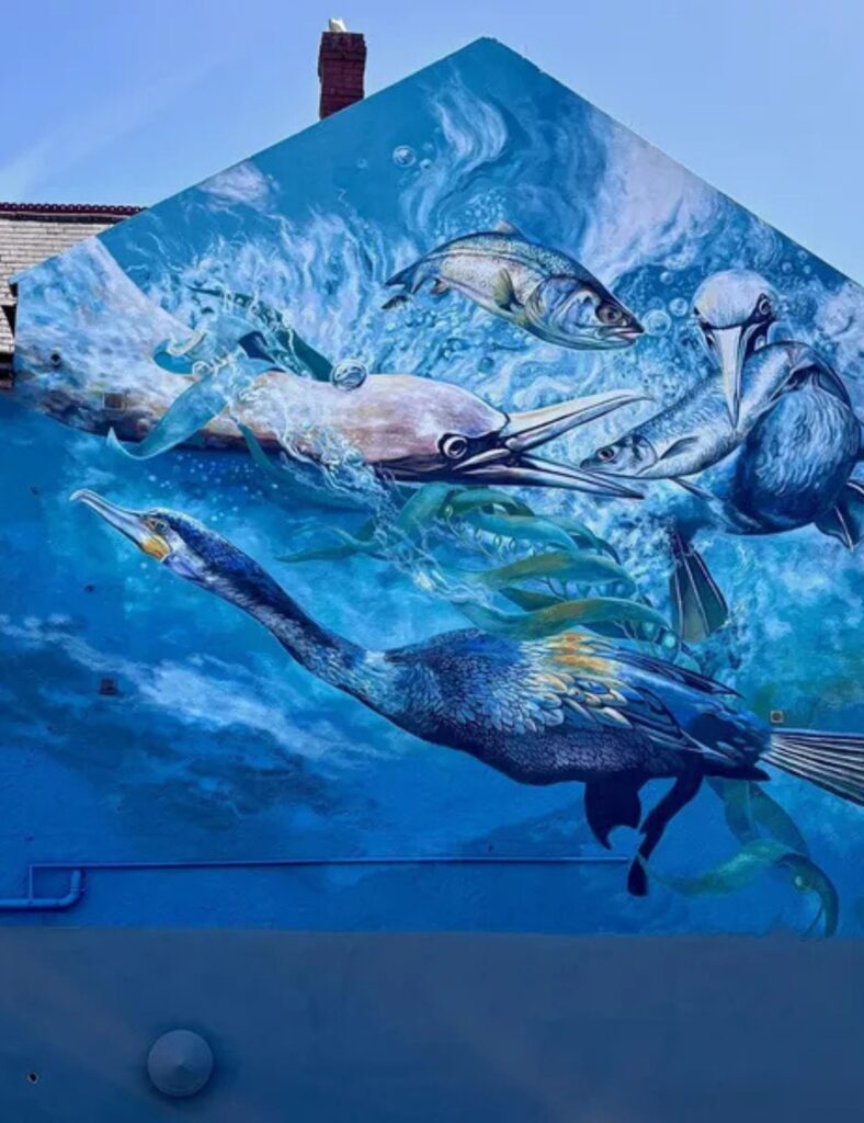 Exploring the NS800 Mural Trail: Art, coffee and coastal vibes in North Shields