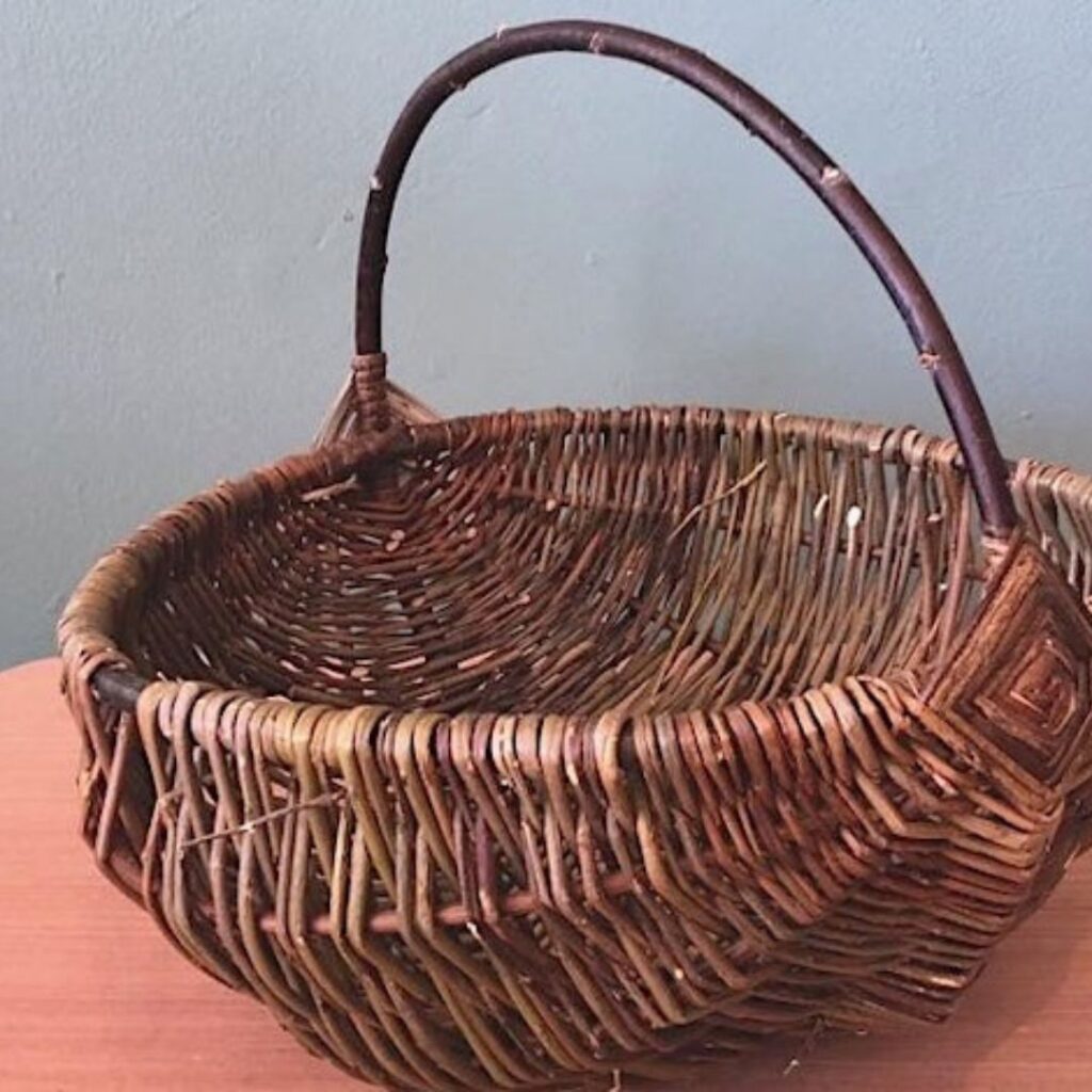 Willow Foraging Basket Workshop