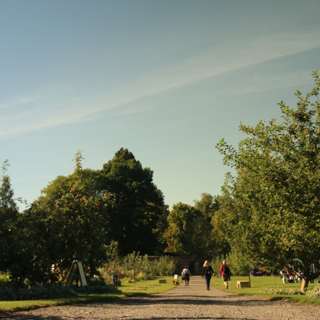 Meet a bat, try forest bathing and arrange an autumn bouquet: 16 seasonal events for all ages
