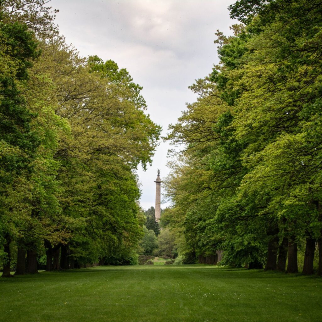 Meet a bat, try forest bathing and arrange an autumn bouquet: 16 seasonal events for all ages