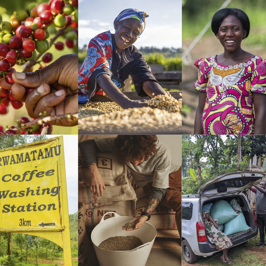 From Corbridge to Cape Town – Cupper’s Journey is brewing something special in the North East