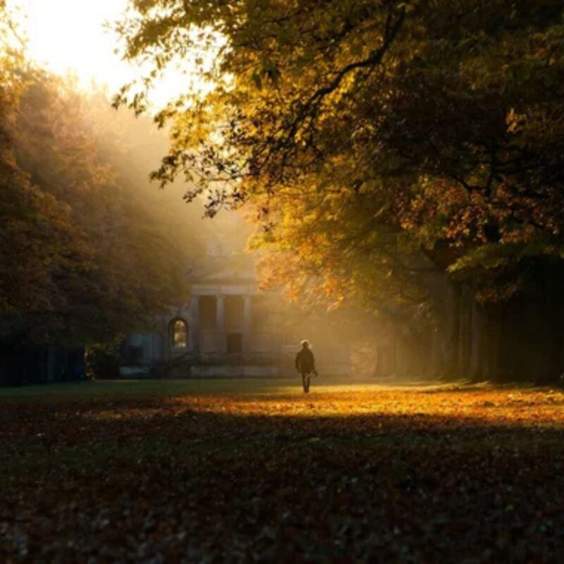 6 autumn North East National Trust adventures
