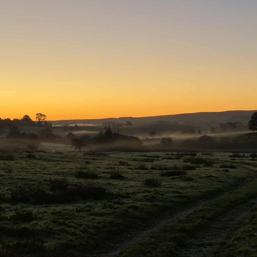 Meet a bat, try forest bathing and arrange an autumn bouquet: 16 seasonal events for all ages