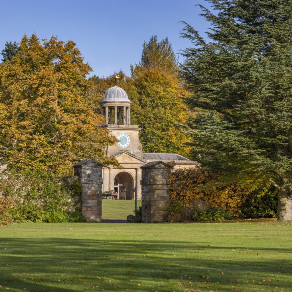 Meet a bat, try forest bathing and arrange an autumn bouquet: 16 seasonal events for all ages