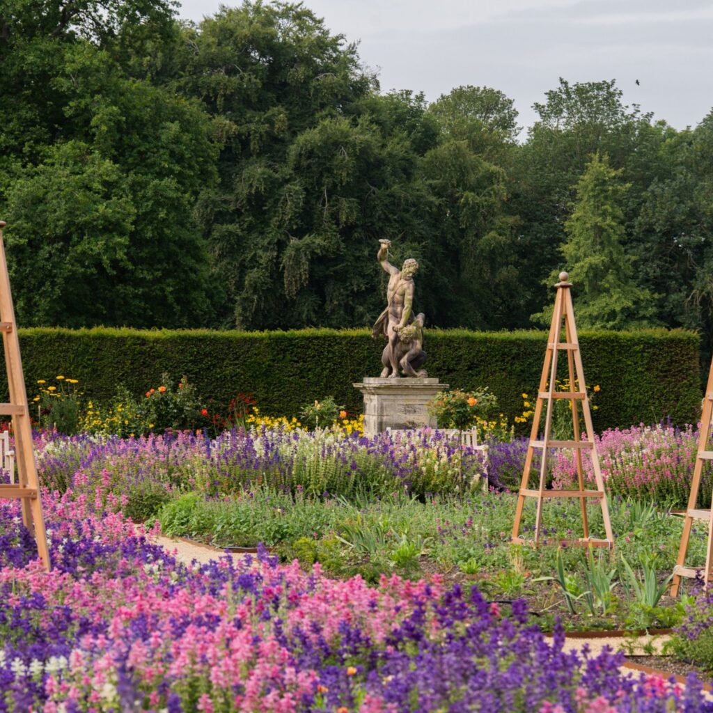 Meet a bat, try forest bathing and arrange an autumn bouquet: 16 seasonal events for all ages