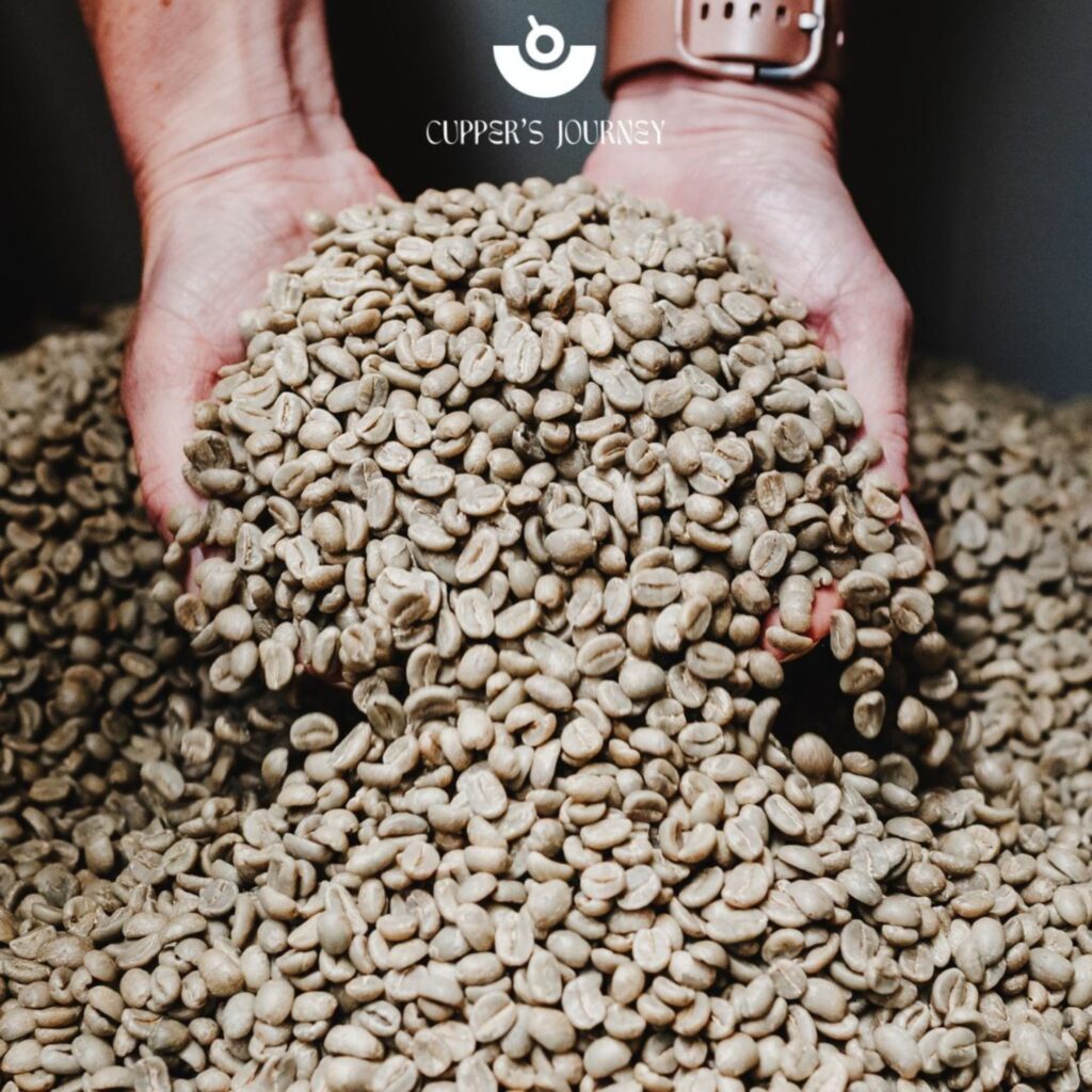 From Corbridge to Cape Town – Cupper’s Journey is brewing something special in the North East