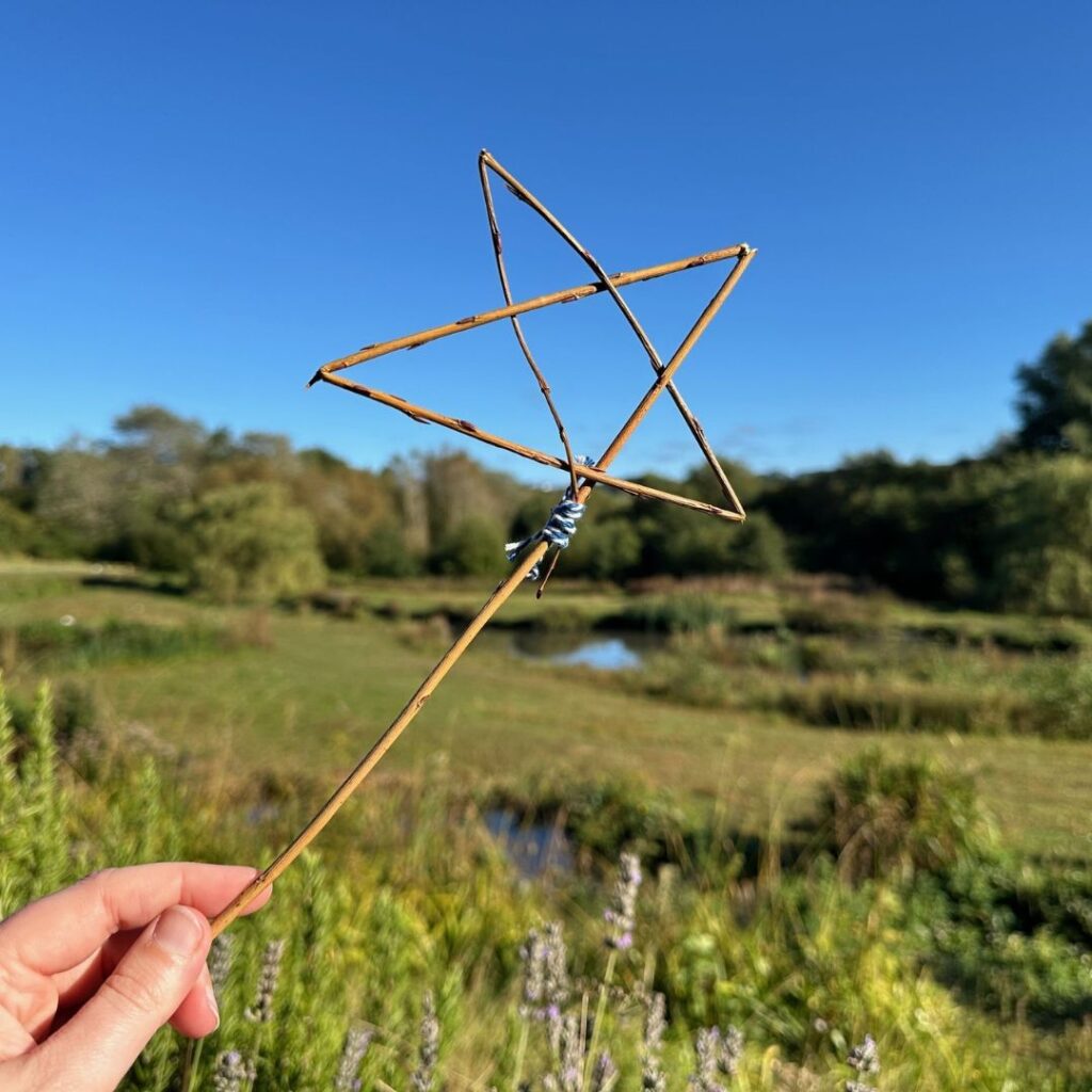 5 free family-friendly half-term events at WWT Washington Wetland Centre