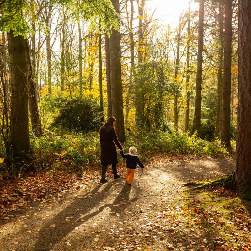Wallington Farm Walk – 2.2 miles
