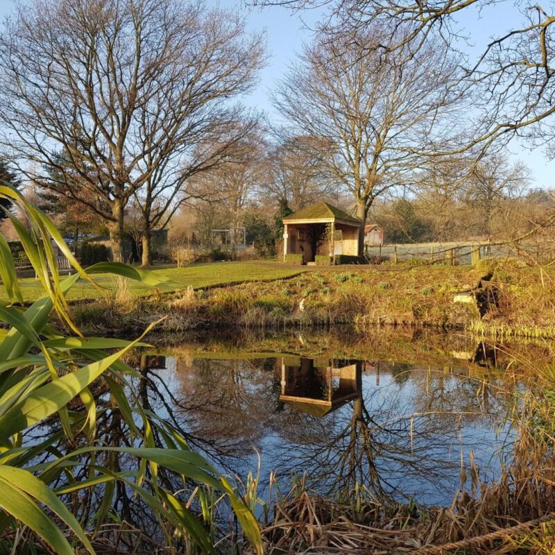 Guided Nature Walk from Crook Hall Gardens – 5 miles