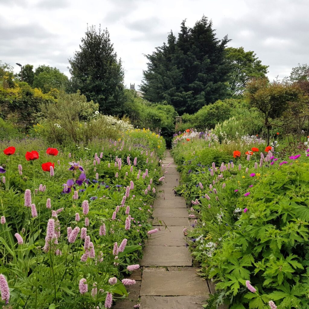 Meet a bat, try forest bathing and arrange an autumn bouquet: 16 seasonal events for all ages
