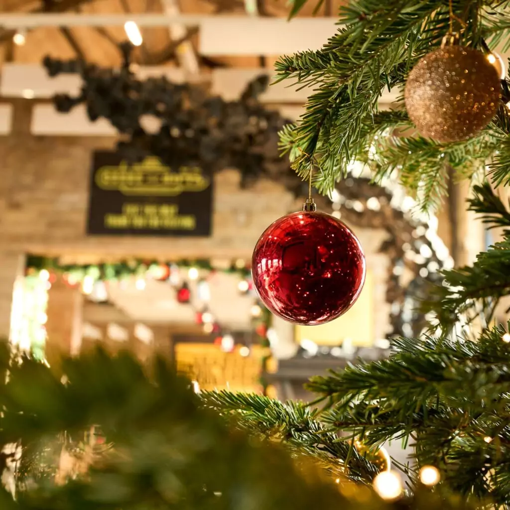 Experience the magic of Christmas at Ho-Ho-Hopetown Darlington