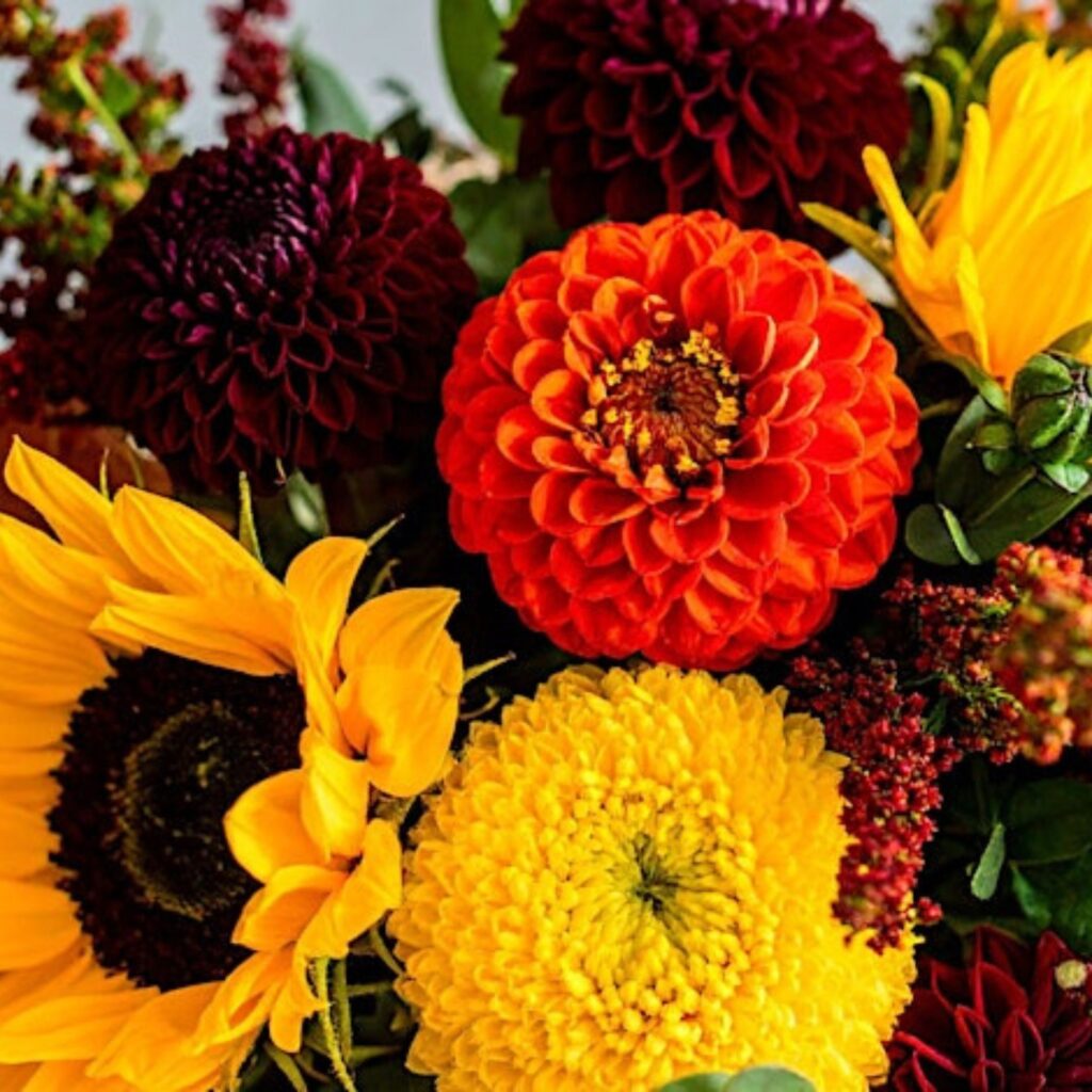 Meet a bat, try forest bathing and arrange an autumn bouquet: 16 seasonal events for all ages